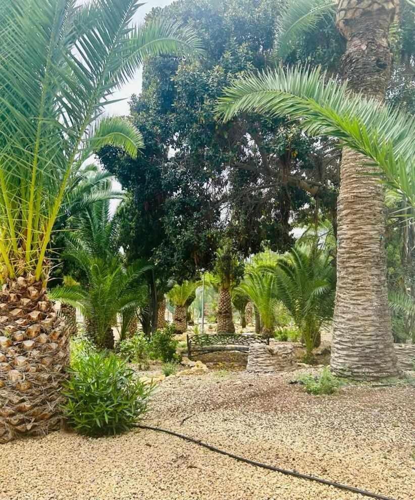 Sol Mediterraneo Palm Beach 3 빌라조요사 외부 사진